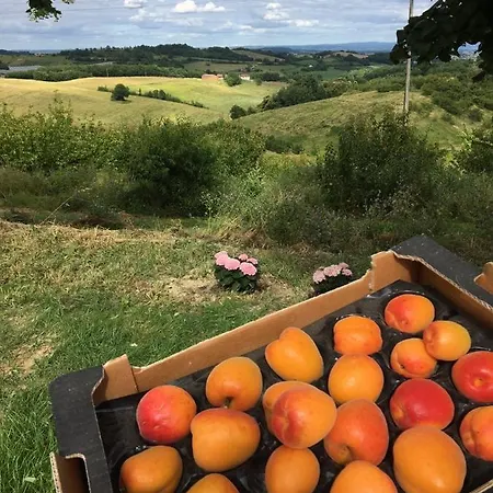 Aux Coteaux D'aussac ゲストハウス L'Honor-de-Cos