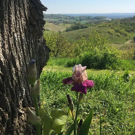 Aux Coteaux D'aussac ゲストハウス
