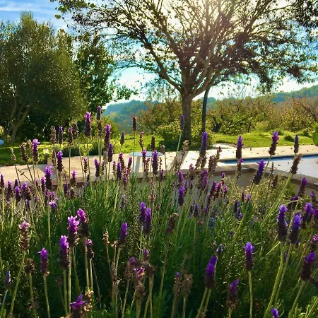 Aux Coteaux D'aussac 4* L'Honor-de-Cos