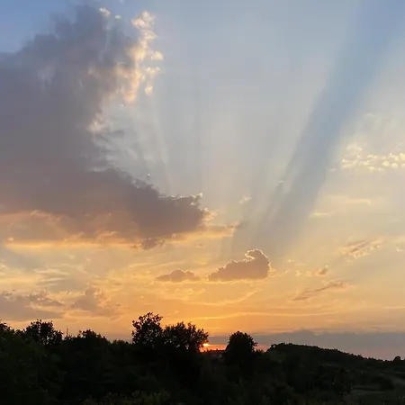 Aux Coteaux D'aussac ゲストハウス L'Honor-de-Cos
