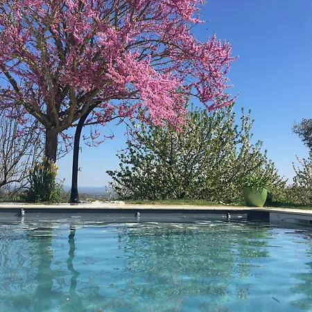 Aux Coteaux D'aussac ゲストハウス L'Honor-de-Cos