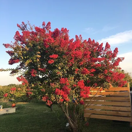 Aux Coteaux D'aussac L'Honor-de-Cos