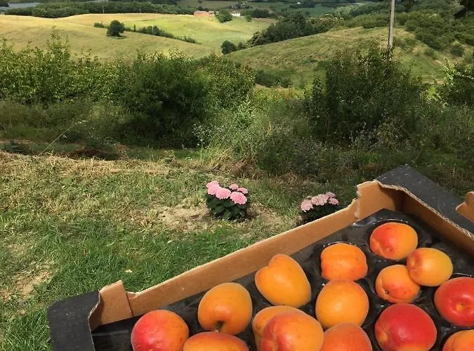 Aux Coteaux D'aussac Pensjonat L'Honor-de-Cos