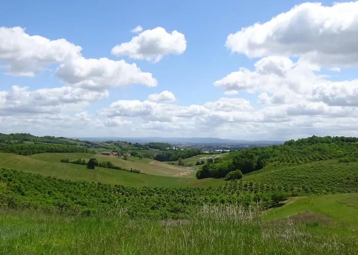 Aux Coteaux D'aussac Pensjonat 4*