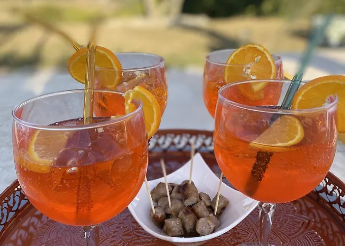 Pensjonat Aux Coteaux D'aussac