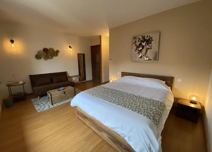 Aux Coteaux D'aussac 4* L'Honor-de-Cos