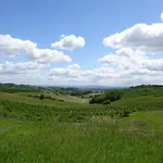 Aux Coteaux D'aussac 게스트하우스 4*