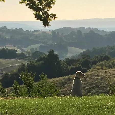 بيت ضيافة Aux Coteaux D'aussac