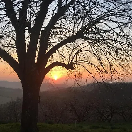 Aux Coteaux D'aussac 4* L'Honor-de-Cos