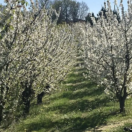 بيت ضيافة Aux Coteaux D'aussac
