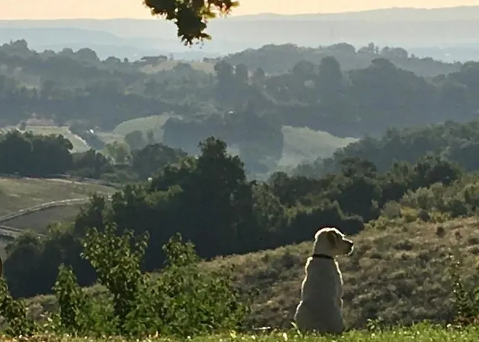 Affittacamere Aux Coteaux D'aussac