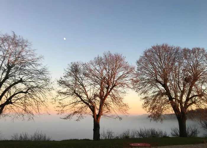 Aux Coteaux D'aussac 4* L'Honor-de-Cos