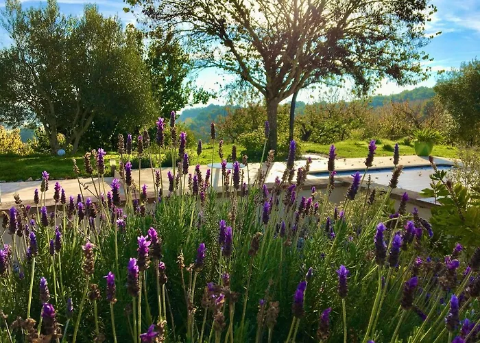 Aux Coteaux D'aussac 4* L'Honor-de-Cos