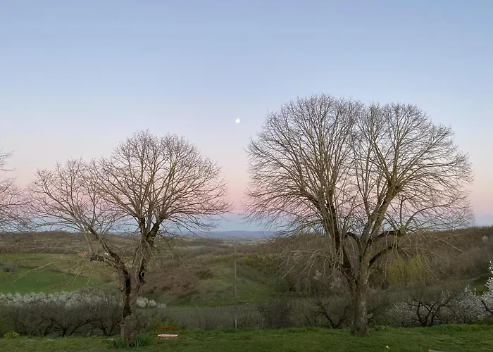 Aux Coteaux D'aussac 4* L'Honor-de-Cos