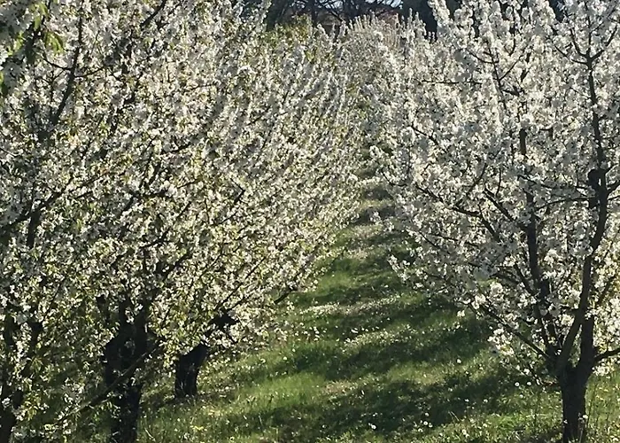 Affittacamere Aux Coteaux D'aussac