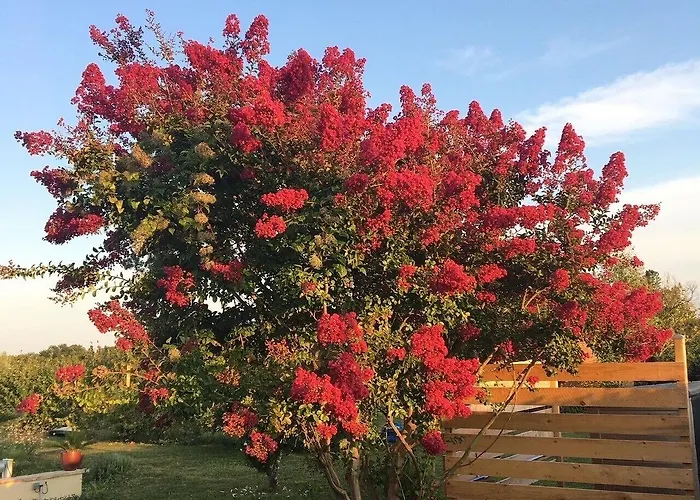 Aux Coteaux D'aussac L'Honor-de-Cos